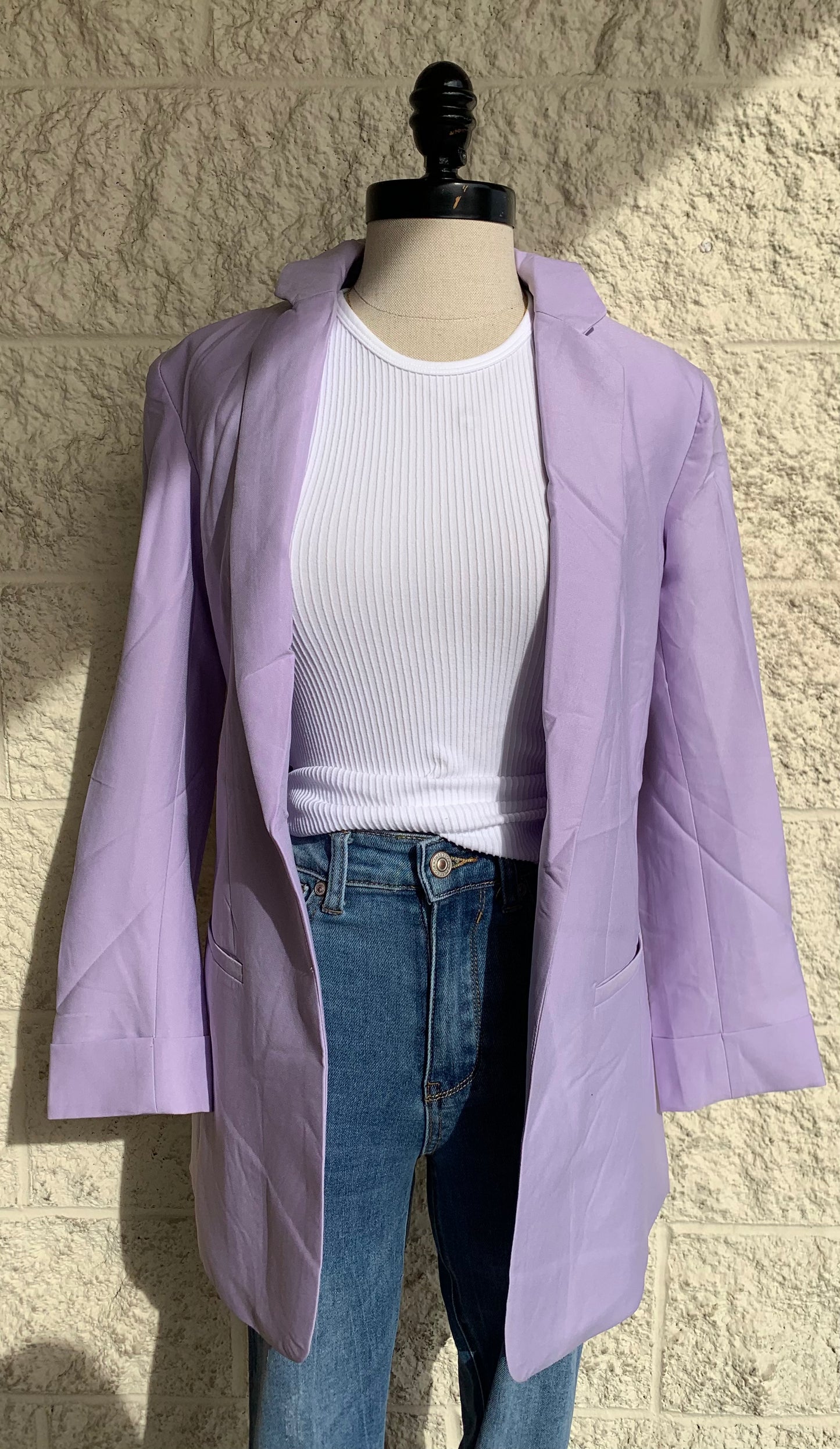 Rajasthans Blazer